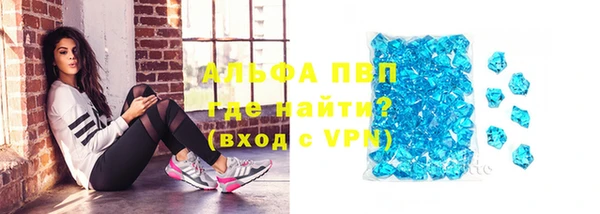 спайс Арсеньев