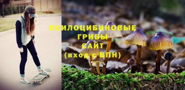 спайс Арсеньев