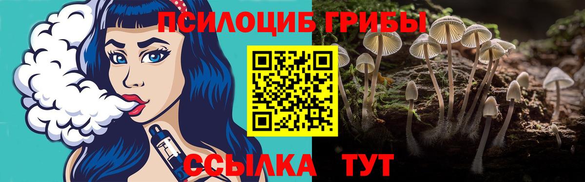 Кемерово  Псилоцибиновые грибы MAGIC MUSHROOMS  Вход с VPN  Псилоцибиновые грибы GOLDEN TEACHER 