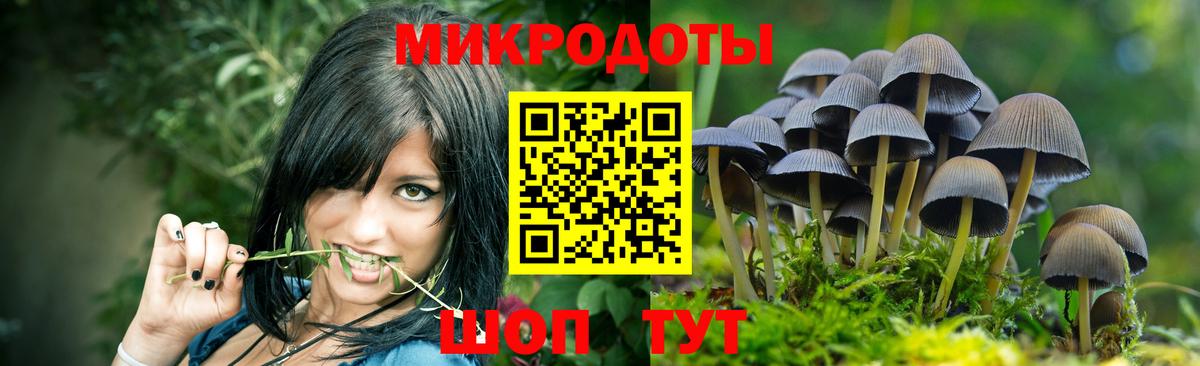 Псилоцибиновые грибы Cubensis Кемерово